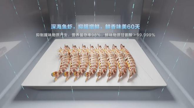 箱品牌17年世界冠军尊龙凯时链接40年冰(图4)