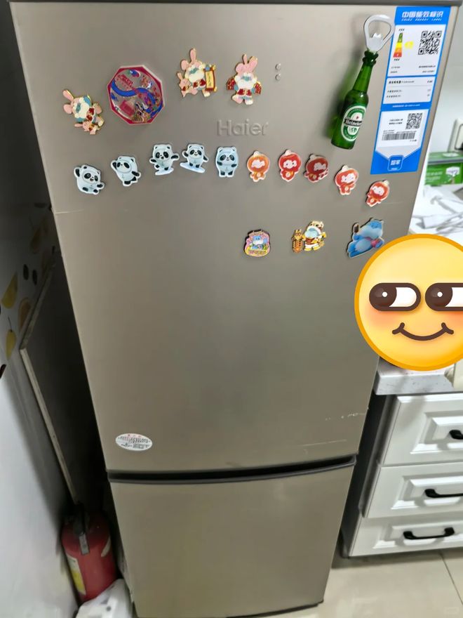 淡出中国家庭”不过是时间早晚的问题人生就是搏恕我直言:这7种冰箱“(图18) 淡出中国家庭”不过是时间早晚的问题人生就是搏恕我直言:这7种冰箱“(图18)