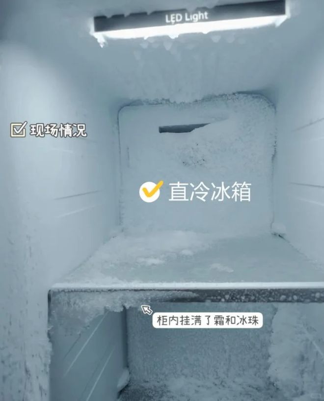 淡出中国家庭”不过是时间早晚的问题人生就是搏恕我直言:这7种冰箱“(图19) 淡出中国家庭”不过是时间早晚的问题人生就是搏恕我直言:这7种冰箱“(图19)