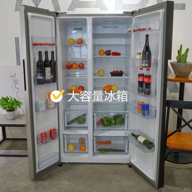 淡出中国家庭”不过是时间早晚的问题人生就是搏恕我直言:这7种冰箱“(图20) 淡出中国家庭”不过是时间早晚的问题人生就是搏恕我直言:这7种冰箱“(图20)