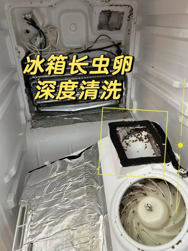 淡出中国家庭”不过是时间早晚的问题人生就是搏恕我直言:这7种冰箱“(图23) 淡出中国家庭”不过是时间早晚的问题人生就是搏恕我直言:这7种冰箱“(图23)