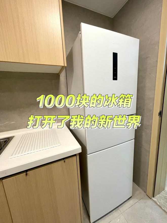 淡出中国家庭”不过是时间早晚的问题人生就是搏恕我直言:这7种冰箱“(图4) 淡出中国家庭”不过是时间早晚的问题人生就是搏恕我直言:这7种冰箱“(图4)