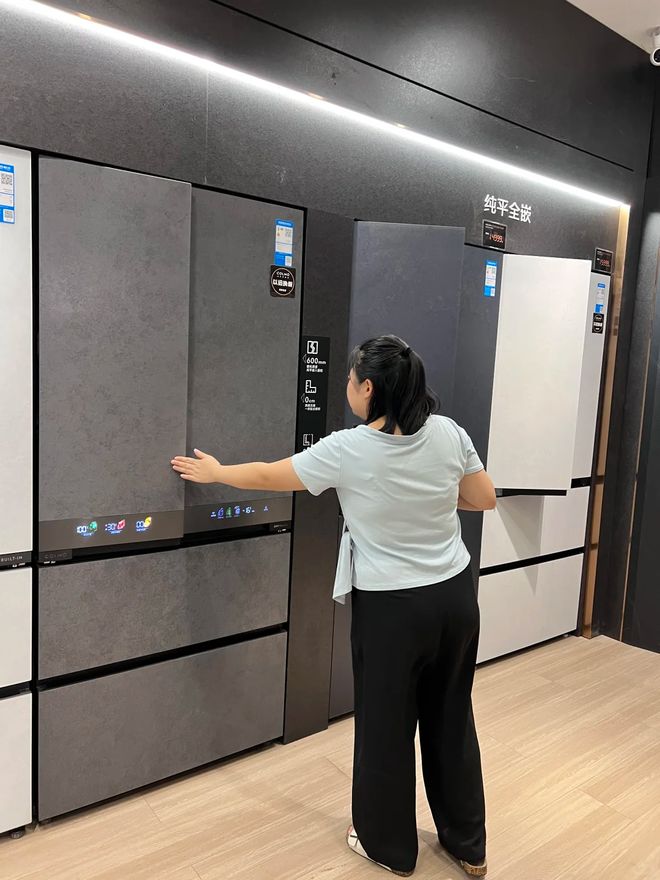 淡出中国家庭”不过是时间早晚的问题人生就是搏恕我直言:这7种冰箱“(图11) 淡出中国家庭”不过是时间早晚的问题人生就是搏恕我直言:这7种冰箱“(图11)