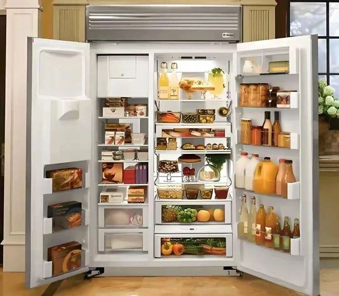 不要买不是误导全是过来人的经验教训尊龙AG网站选冰箱这6种建议大家(图7)