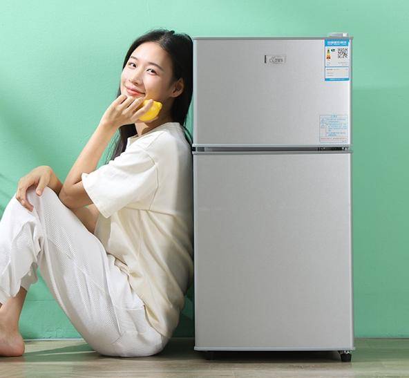 惠又省电？租房族必备实用省电小冰箱推荐尊龙凯时app平台小冰箱哪个牌子好又实(图2)