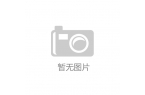 AI产品亮相引领中国“智”造闪耀科技秀场